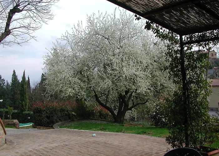 Fonte Del Castagno