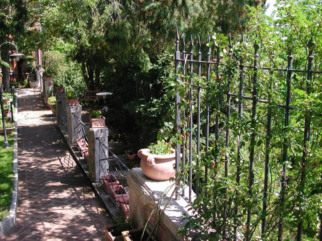 Fonte Del Castagno * Sinalunga