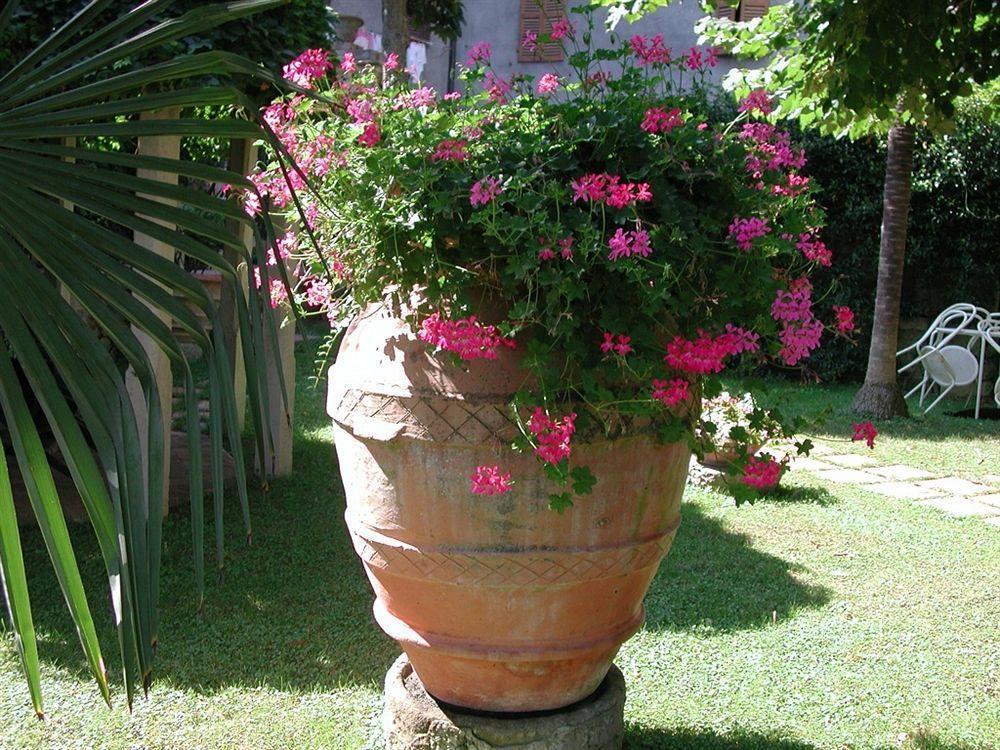 Fonte Del Castagno Aparthotel *