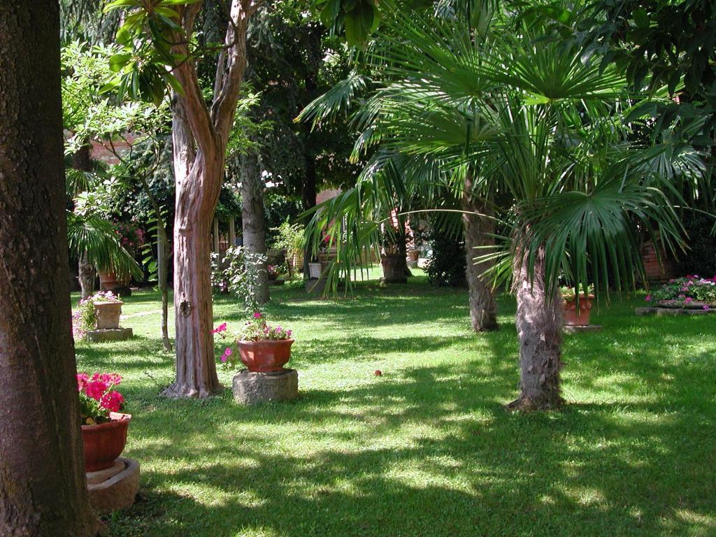Fonte Del Castagno *